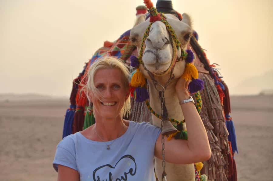 Hurghada: BADU Camp Camel Ride, Dinner, & Stargazing - Why a BADU Camp night is a smart use of your Hurghada time