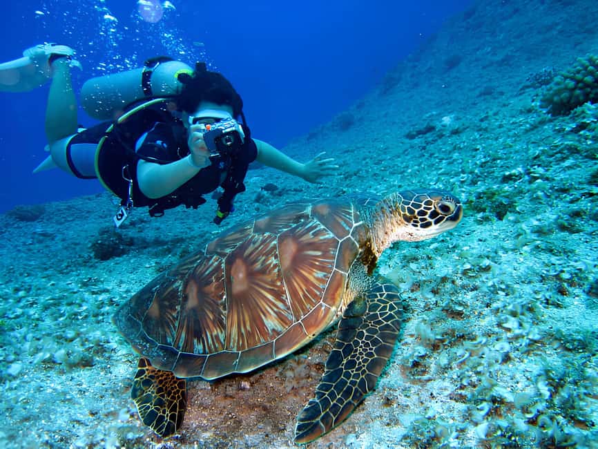 Hurghada: Beginners Scuba Diving Full-Day Boat Trip & Lunch - Price and value: how $30 stacks up in Hurghada