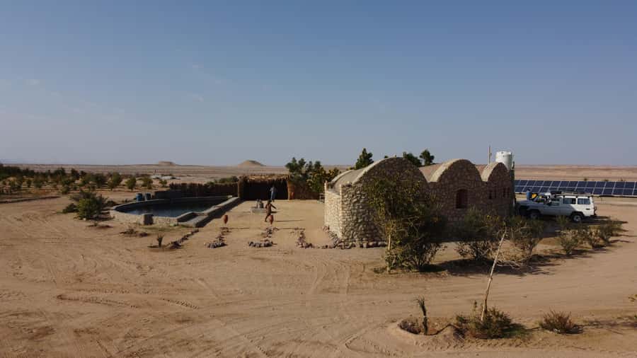 Hurghada: Camel Ride & horse ride and Off-Road Jeep Tour - Quick Take: Camel, Horse, and Jeep-to-Farm Fun