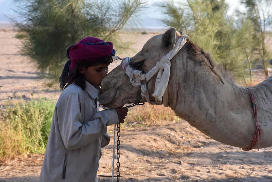 Hurghada: Camel Ride & horse ride and Off-Road Jeep Tour - The Off-Road Jeep Segment: Dune Bashing With Real Energy