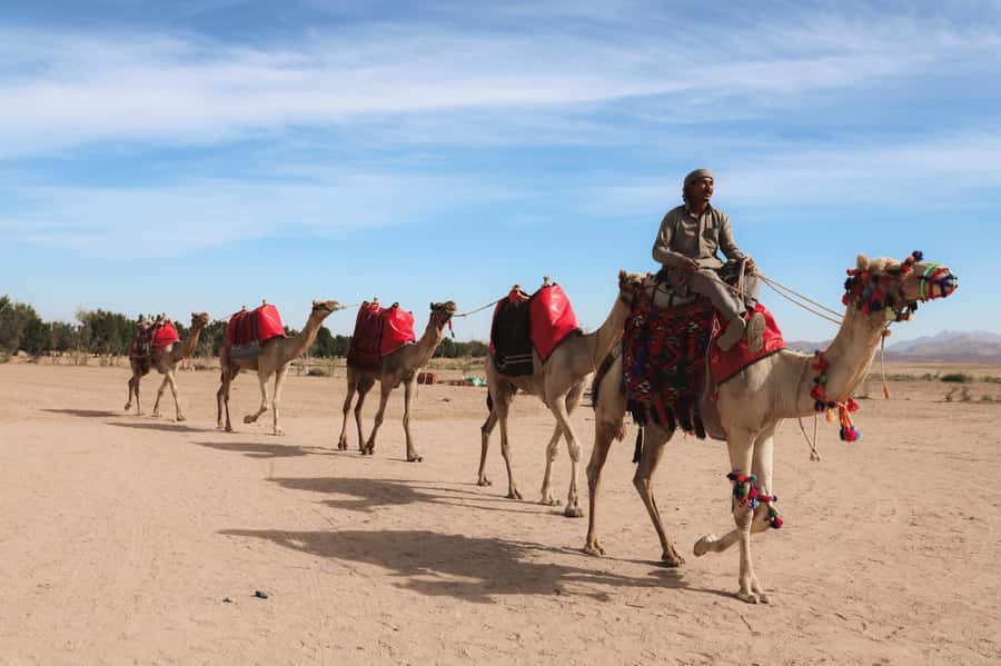 Hurghada: Camel Ride & horse ride and Off-Road Jeep Tour - Camel Ride Through Mountains and Valleys: The Part for Slow Photos