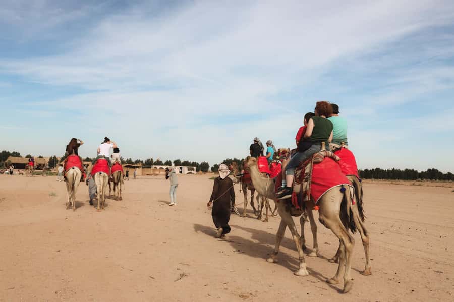 Hurghada: Camel Ride & horse ride and Off-Road Jeep Tour - Horse Ride: One More Hour of Views, But With a Different Vibe