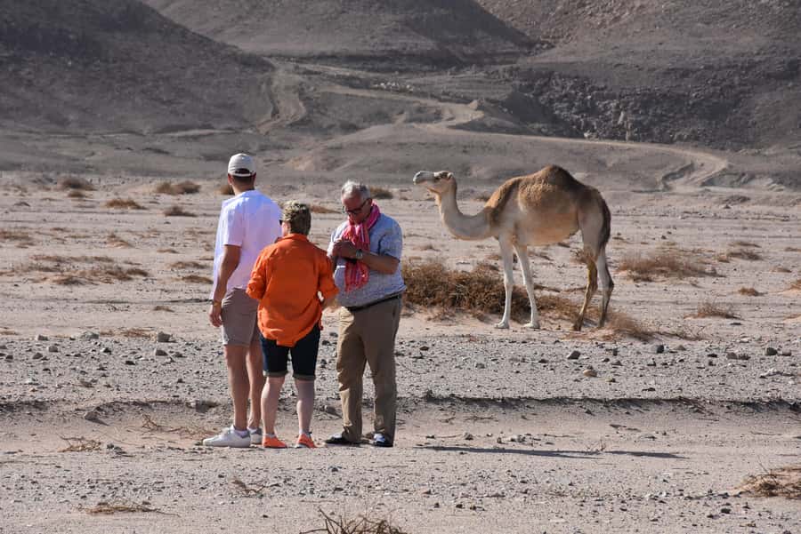 Hurghada: Camel Ride & horse ride and Off-Road Jeep Tour - Desert Photo Breaks and the Best Light for Your Pictures