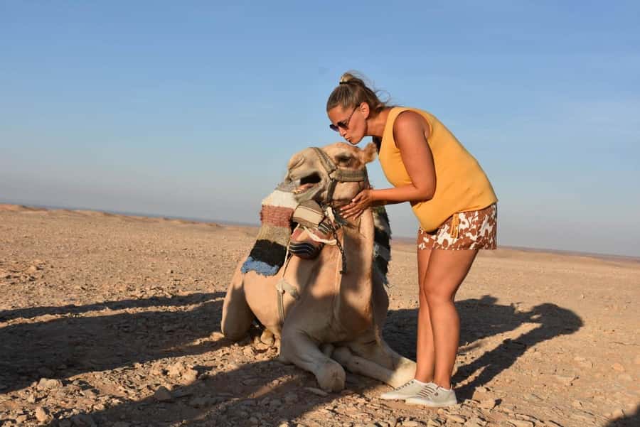 Hurghada: Camel Ride & horse ride and Off-Road Jeep Tour - Getting Started in Hurghada: Pickup, Desert Station Stop, Then Off-Road