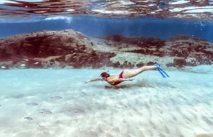 Hurghada: Day Snorkeling with Dolphins - FAQ
