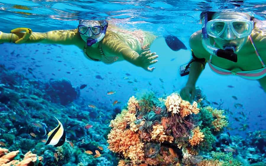 Hurghada: Day Snorkeling with Dolphins - Dolphin Reef in Hurghada: what makes this trip feel different