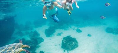 Hurghada: Day Snorkeling with Dolphins - Getting there smoothly: transfers, marina time, and boat comfort