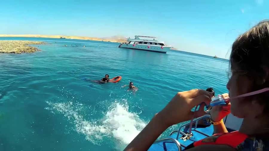 Hurghada: Day Snorkeling with Dolphins - Who should book (and who should skip): fit, safety, and languages