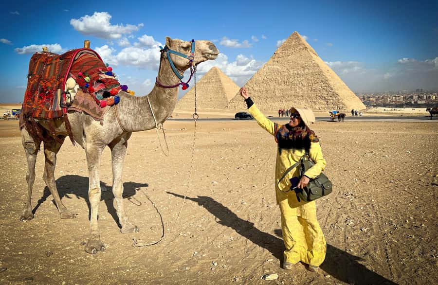 Hurghada Day Trip to Giza Pyramids, Sphinx, Museum and lunch - Egyptian Museum: choosing Old vs New and how to make the most of 2 hours