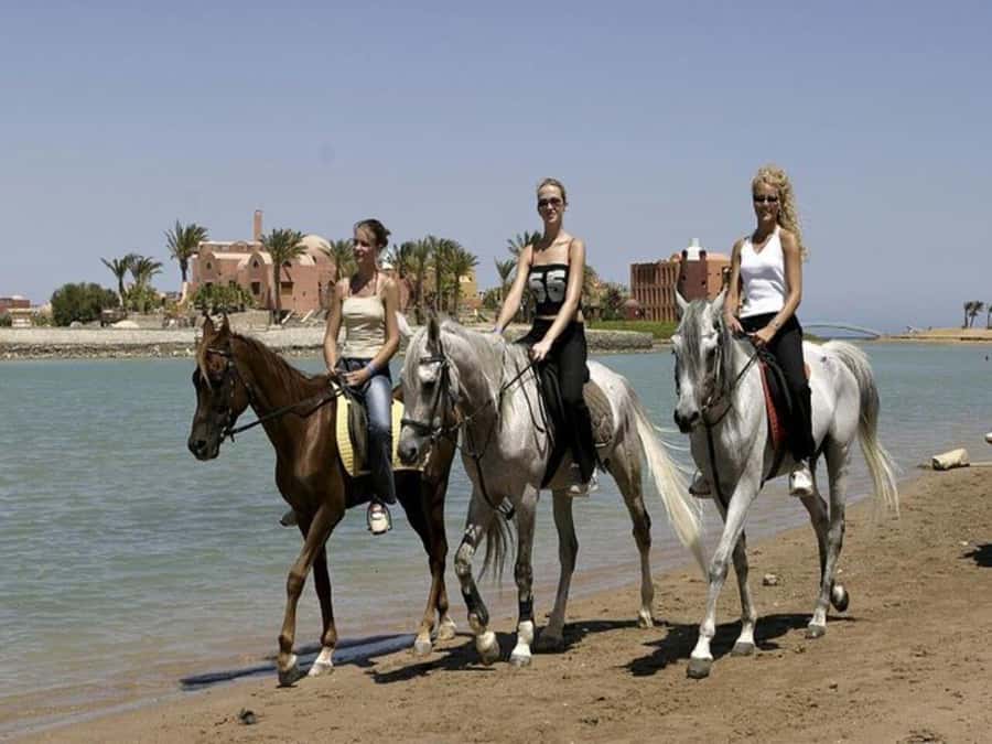 Hurghada: Desert and Sea Horseback Riding Tour with Transfer - Practical Tips to Get the Most Out of It