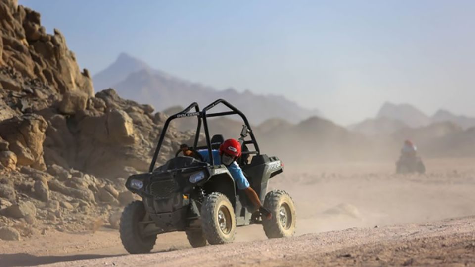 Hurghada: Desert Quad Ride & Bedouin Culture Private Trip. - Price and value: is $37 for a 5-hour desert day fair?