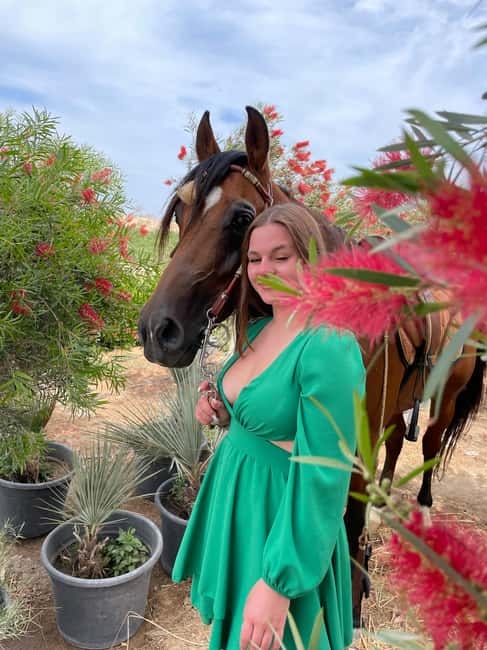 Hurghada: Desert & Sea Horse Riding with + 360° Photos - Two hours on an Arabian horse: what the riding actually feels like