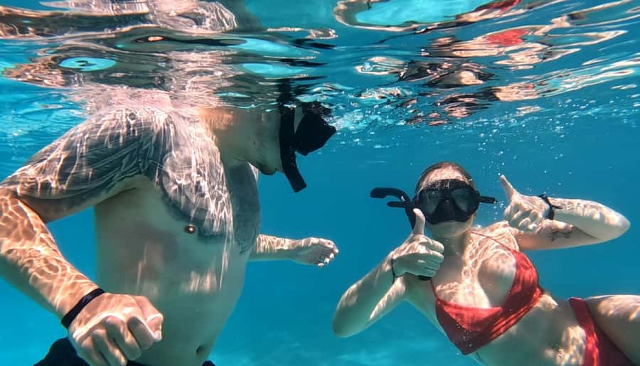 Hurghada: Dolphin House & Water sports Banana by Speedboat - Price and value: is $195 per group (up to 2) fair?