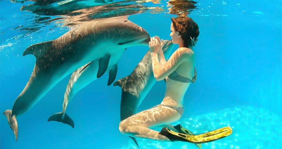 Hurghada: Dolphin watch Cruise with optional pickup - The Snorkeling Stops That Make This Cruise Worth It