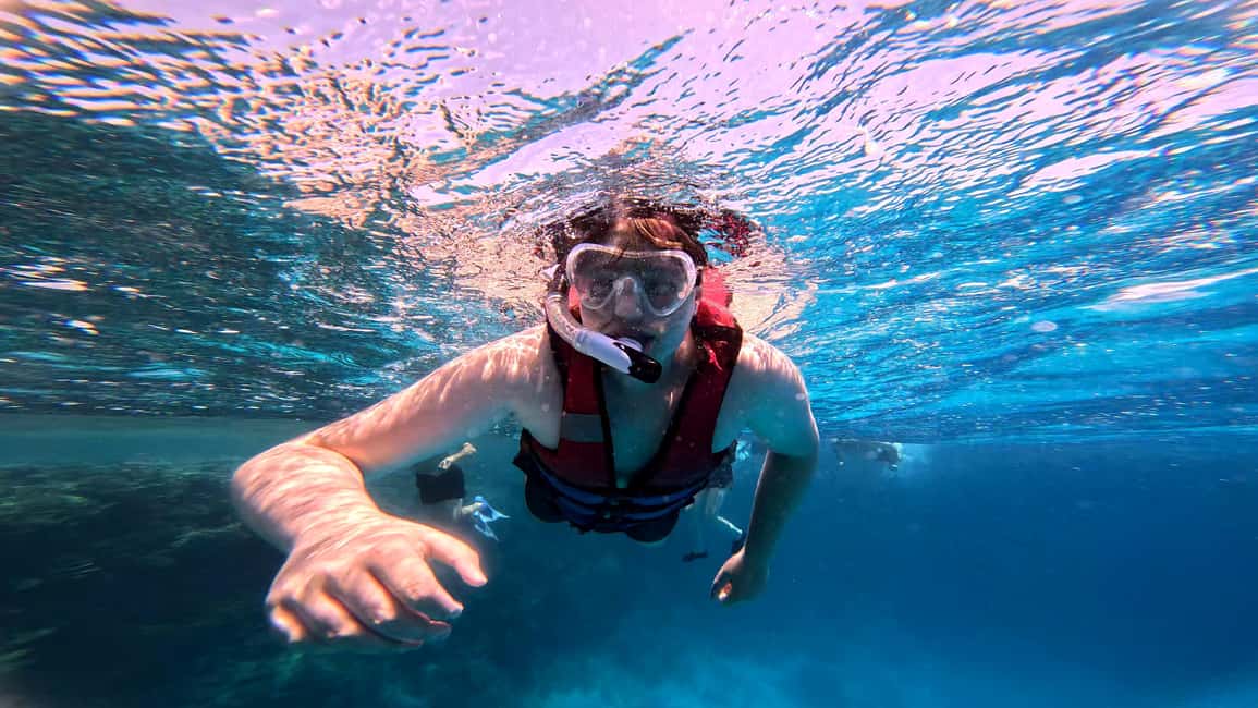 Hurghada: Dolphin Watching Boat Tour with Snorkeling & Lunch - From Public Beach No. 9 to a Red Sea day
