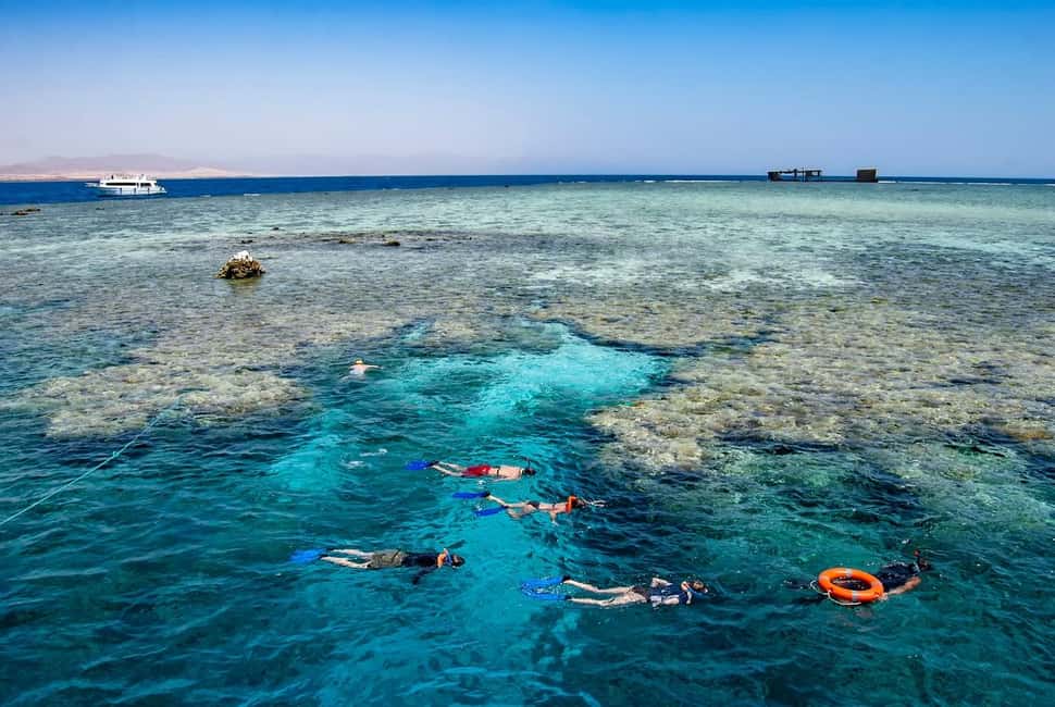 Hurghada: Dolphin Watching Boat Tour with Snorkeling & Lunch - Should you book this Hurghada dolphin tour?