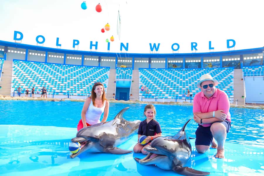 Hurghada: Dolphin World Show with Walruses and Pickup - Dolphin World in Hurghada: what the outdoor show feels like