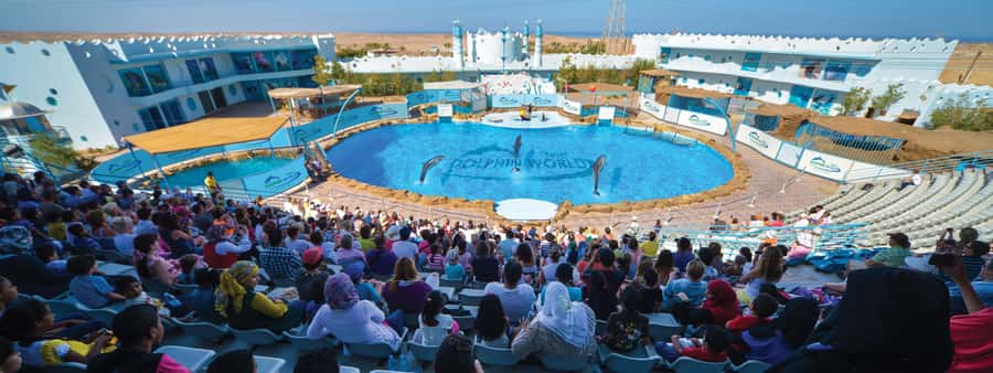 Hurghada: Dolphin World Show with Walruses and Pickup - Getting there from Hurghada and Makadi Bay without the headache