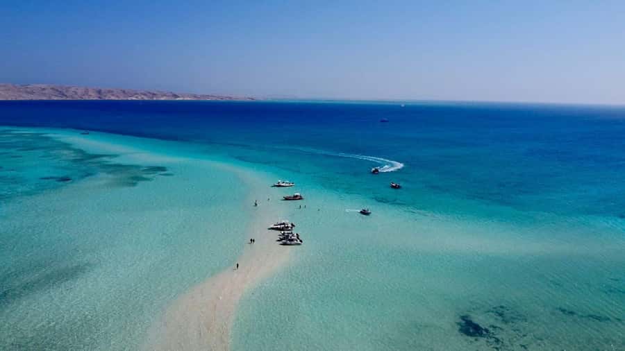 Hurghada: Elegance Yacht Cruise To Orange & Magawish island - The crew makes the day: guides, organization, and dolphin chances