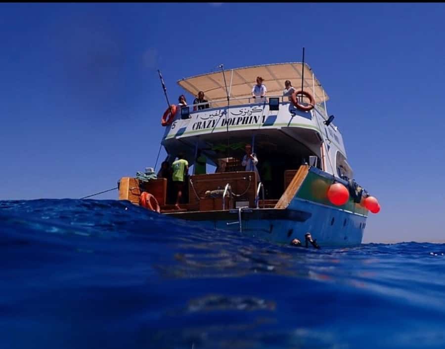 Hurghada: Full-Day Scuba Diving Tour with 2 Sites and Lunch - Second reef stop: more time to spot fish and compare conditions