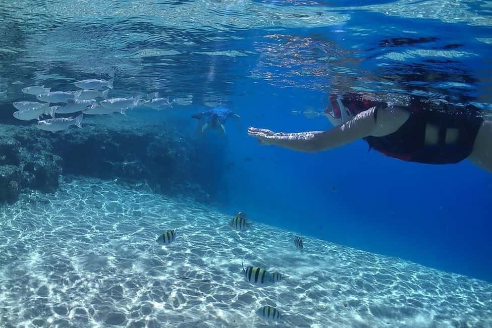 Hurghada: Full-Day Snorkeling Tour in Sharm El Naga w/Lunch - The Snorkeling Time at Sharm El Naga: Coral, Fish, and How to Get the Most Out of Your Swim