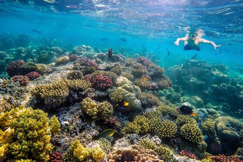 Hurghada: Full-Day Snorkeling Tour in Sharm El Naga w/Lunch - Practical Tips That Make This Day Smoother