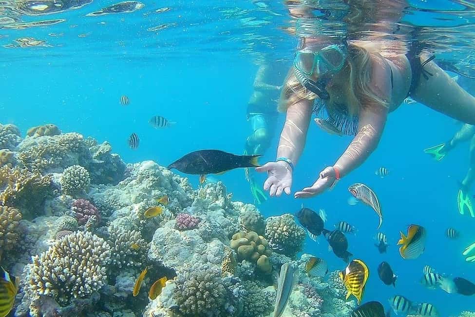 Hurghada: Full-Day Snorkeling Tour in Sharm El Naga w/Lunch - Should You Book This Sharm El Naga Snorkeling Day?