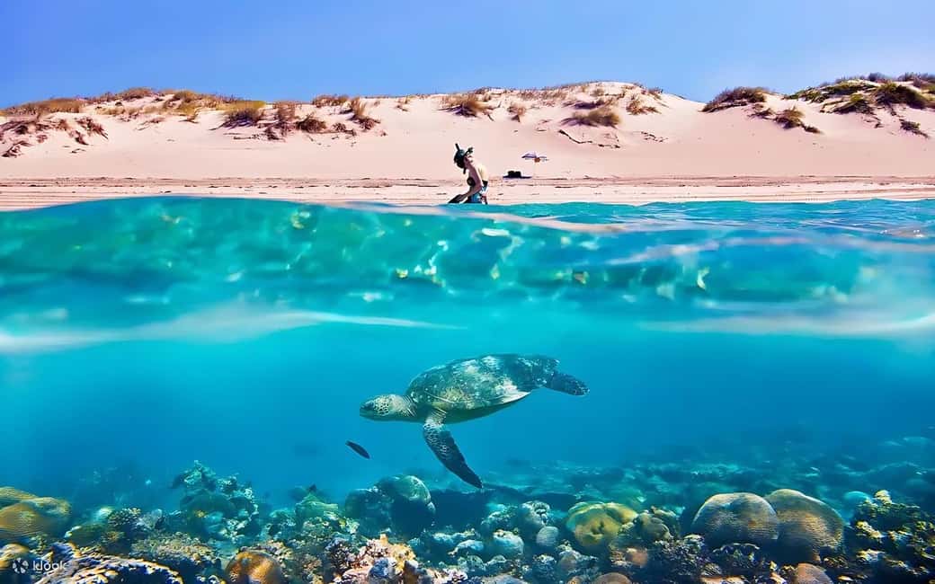Hurghada: Giftun Island with breakfast, lunch & Water Sports - Orange Bay and the Giftun area: what this day trip is really like