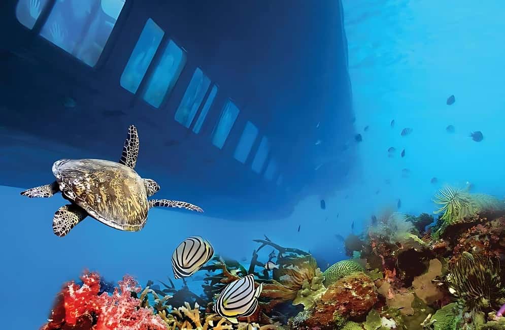 Hurghada: Glass Boat & Snorkeling with Optional Parasailing - Price and Value at About $18: What You’re Getting
