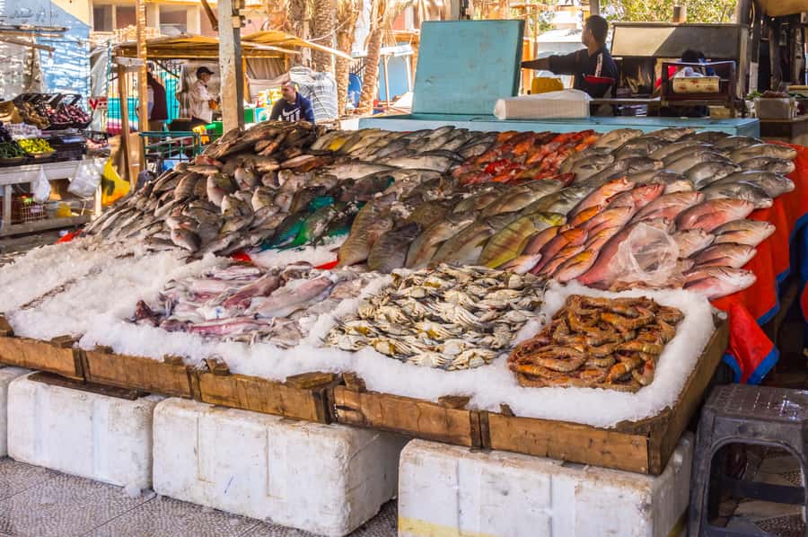 Hurghada: Guided City Highlights Tour with Shopping Stops - The Fish Market Walk: Smells, Color, and a Local Routine