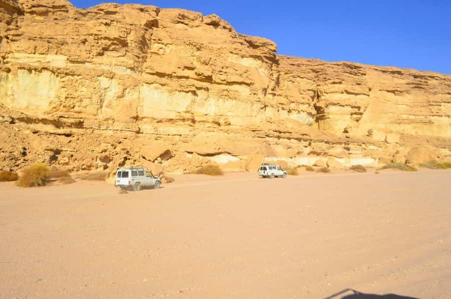 Hurghada: Hiking , dinner & stargazing - Key highlights at a glance