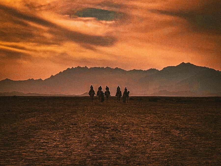 Hurghada: Hiking , dinner & stargazing - 3 km hiking in the sandy valley and the panorama view