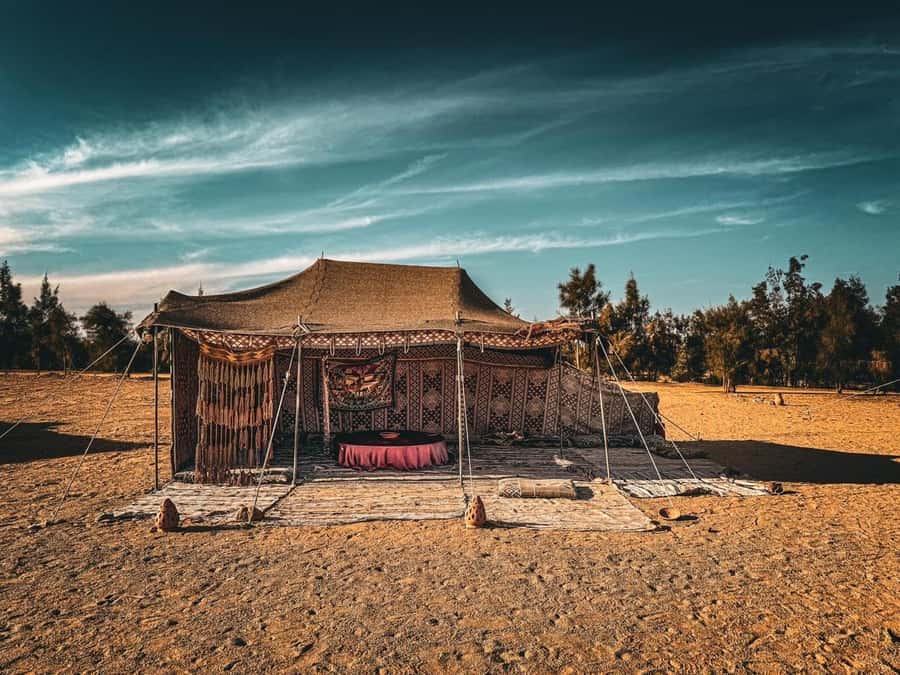 Hurghada: Hiking , dinner & stargazing - How to enjoy the stars more (without doing any homework)