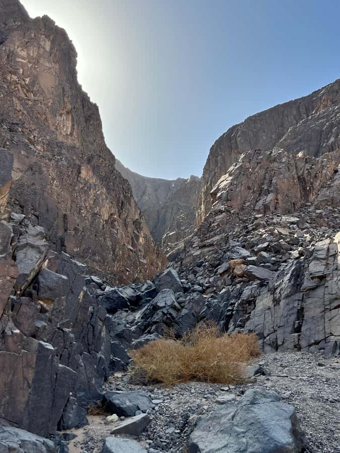 Hurghada: Hiking , dinner & stargazing - Price and value: what you’re really paying for at $68