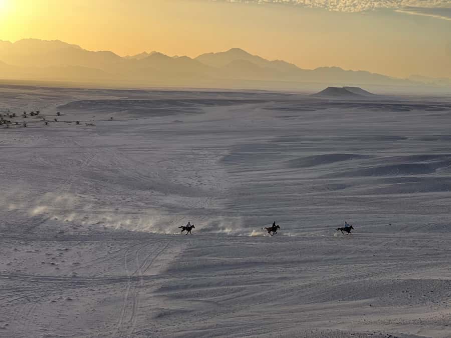 Hurghada: Horse Ride, BBQ Dinner, and Stargazing - Why This Hurghada Desert Ride Feels Like a Full Experience