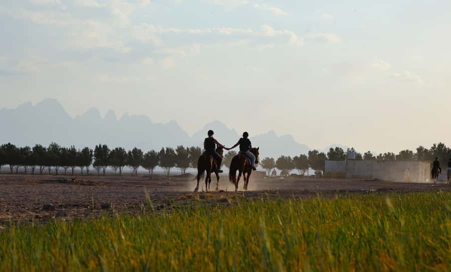 Hurghada: Horse Riding & Safari Adventure - A Morning Escape Into the Red Sea Desert Valleys
