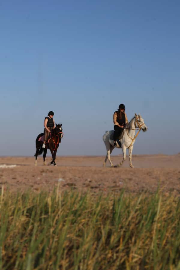 Hurghada: Horse Riding & Safari Adventure - Four Hours in the Saddle: Two 2-Hour Riding Sessions
