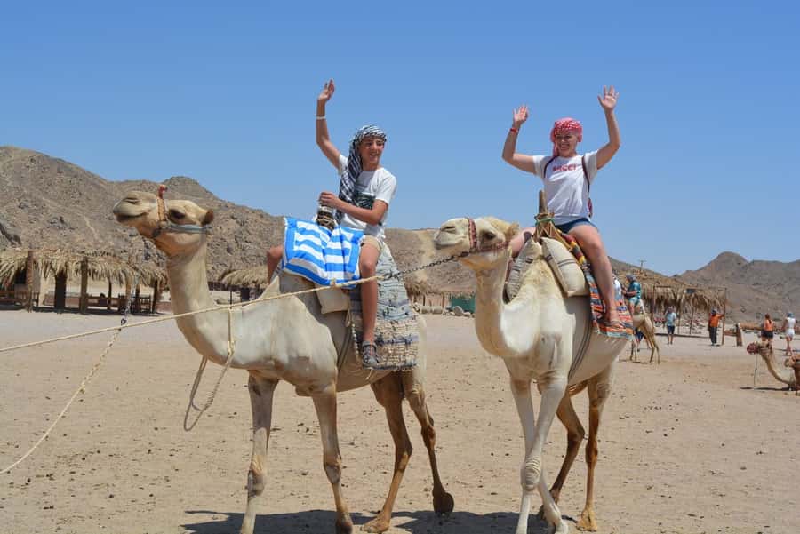 Hurghada: Jeep Safari with Camel Ride, Dinner and Show - Oriental Show: Belly Dance and an Evening Finale