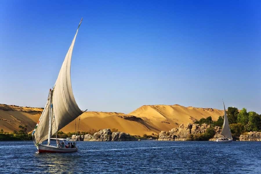 Hurghada: Luxor Highlights & King Tut Tomb Tour with Lunch - Colossi of Memnon: massive, simple, unforgettable