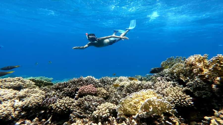 Hurghada: Luxury Cruise Trip to Orange Bay with Lunch - Water sports, banana boat time, and weather reality