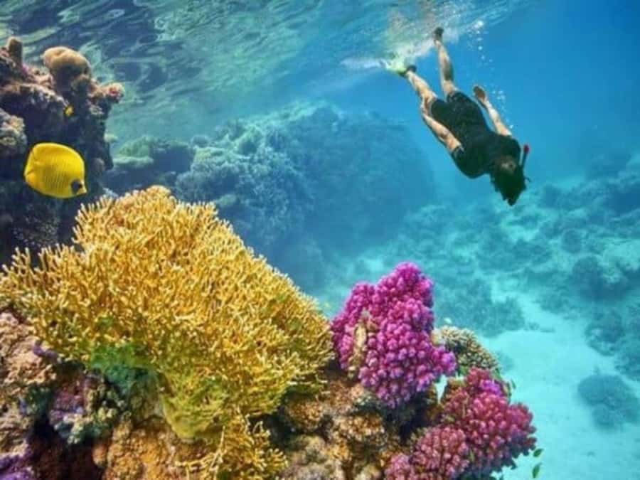 Hurghada: Luxury Private Yacht with Optional Lunch & Drinks - Who should book this yacht cruise, and who should reconsider