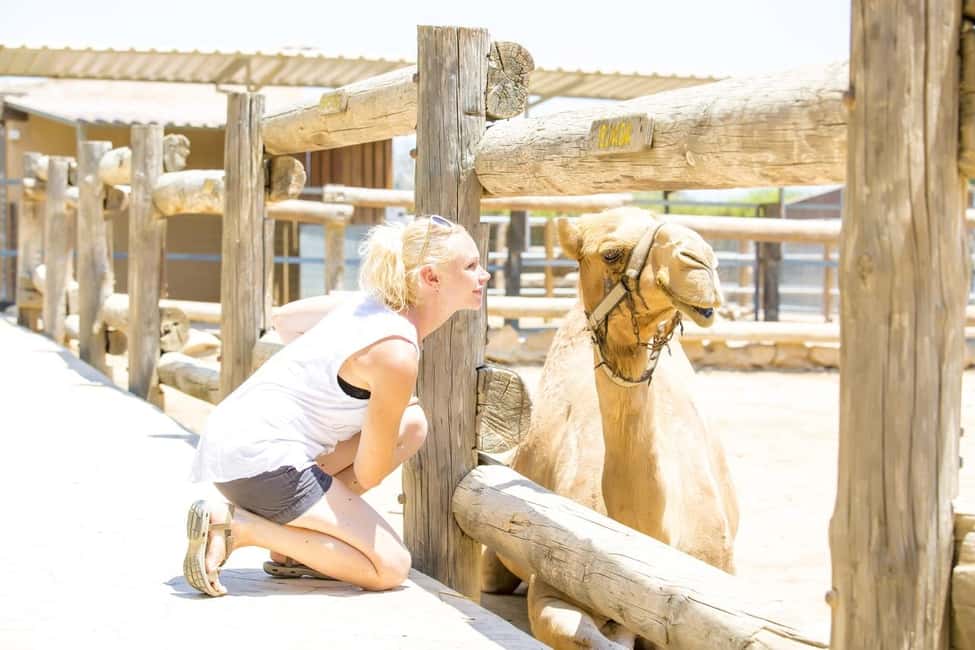 Hurghada: Mega Jeep safari, ATV & Bedouin vibe, and Dinner - BBQ dinner plus Tanoura and fire show