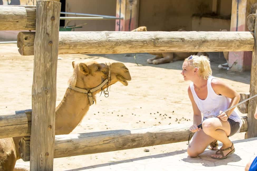Hurghada: Mega Jeep safari, ATV & Bedouin vibe, and Dinner - Price and value: what $34 really covers