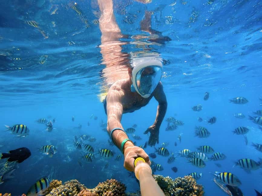 Hurghada: Orange Bay Day Trip with Water Sports and Lunch - Snorkeling at two reef stops with real support