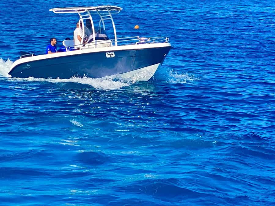Hurghada: Orange Bay Dolphin Watching, Snorkeling & Lunch - The Small Details That Make the Difference