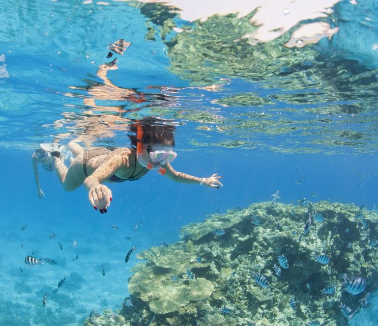 Hurghada: Orange Bay & Giftun Island, Snorkeling With Lunch - Price and Value: Why This Costs $26 (And When It’s a Great Deal)