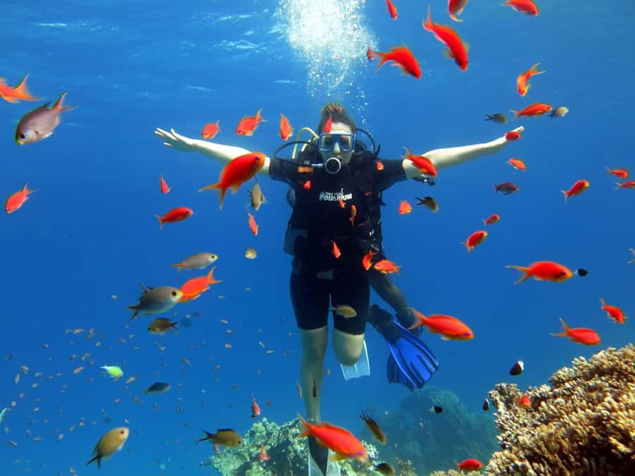 Hurghada: Orange Bay Snorkeling cruise and optional diving - About optional scuba: a possible upgrade, not the core of this cruise