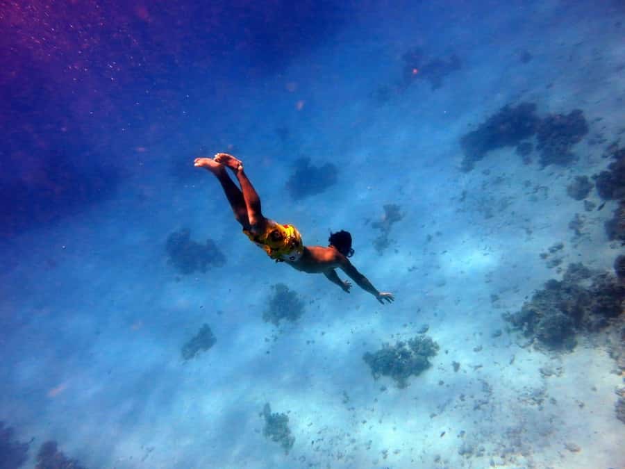 Hurghada: Premium Island Cruise with Lunch and snorkeling - Food and Hygiene on Board: What You’ll Feel During the Day