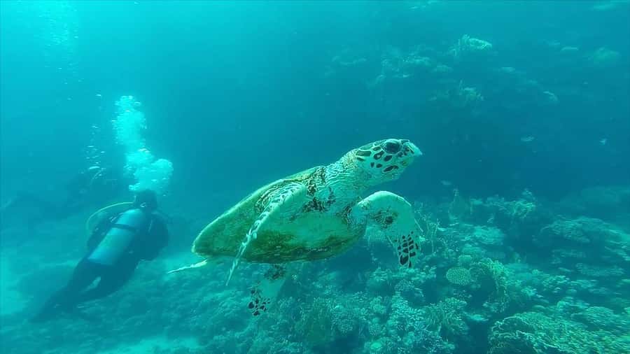Hurghada: Premium Island Cruise with Lunch and snorkeling - Boat Comfort: Sun Deck Views and an Air-Conditioned Reset