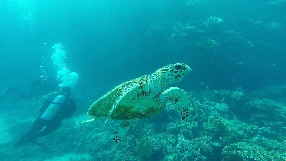 Hurghada: Premium Island Cruise with Lunch and snorkeling - Price and Value: Is $31 Fair for This Much Red Sea Time?